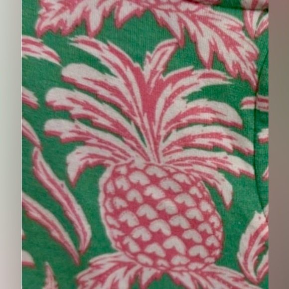 🍍 crown & ivy Pink and Green A-Line pineapple Skort sz 16 - Picture 3 of 3